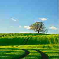 做‌智﻿能﻿网﻿站‍